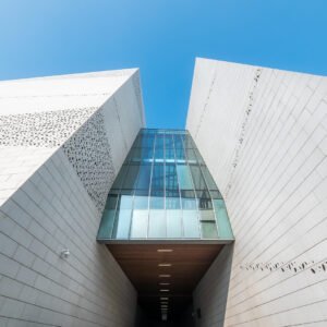 Chengdu Natural History Museum #3