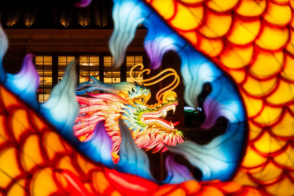 Dragon lanterns illuminated at night with red Chinese lanterns