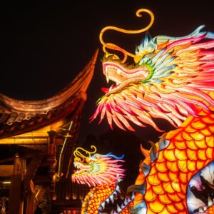 Dragon lanterns illuminated at night with red Chinese lanterns
