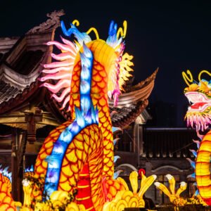 Dragon lanterns illuminated at night with red Chinese lanterns