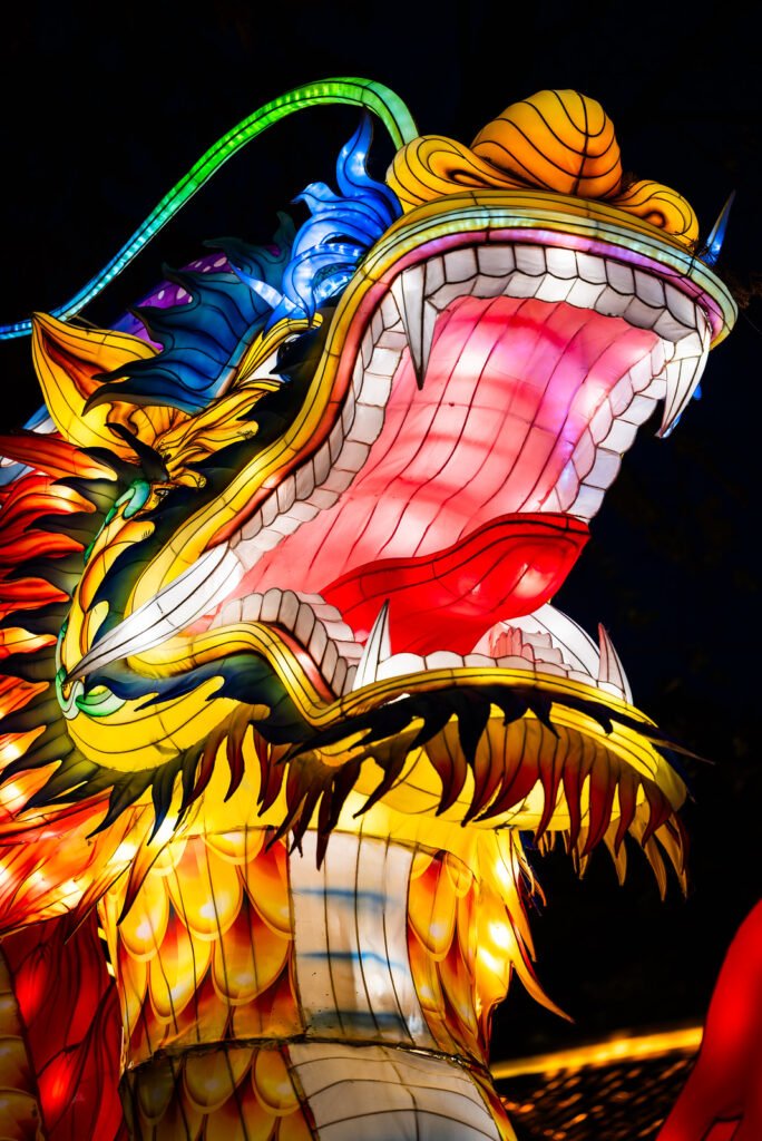 Dragon lantern illuminated at night