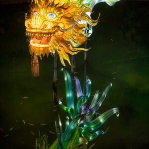 Dragon lantern illuminated at night