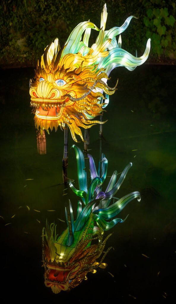 Dragon lantern illuminated at night