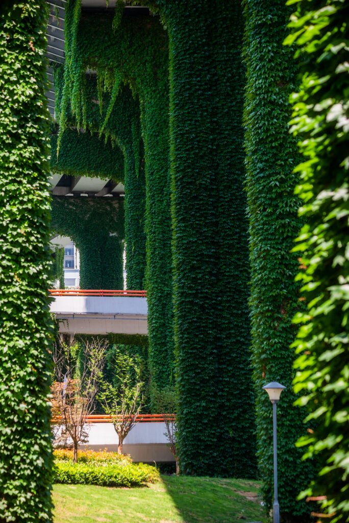 Elevated roads pillars covered by ivy in the city