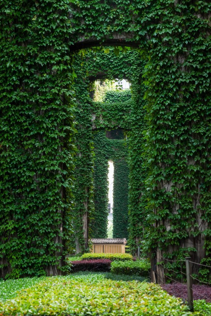 Elevated roads pillars covered by ivy in the city
