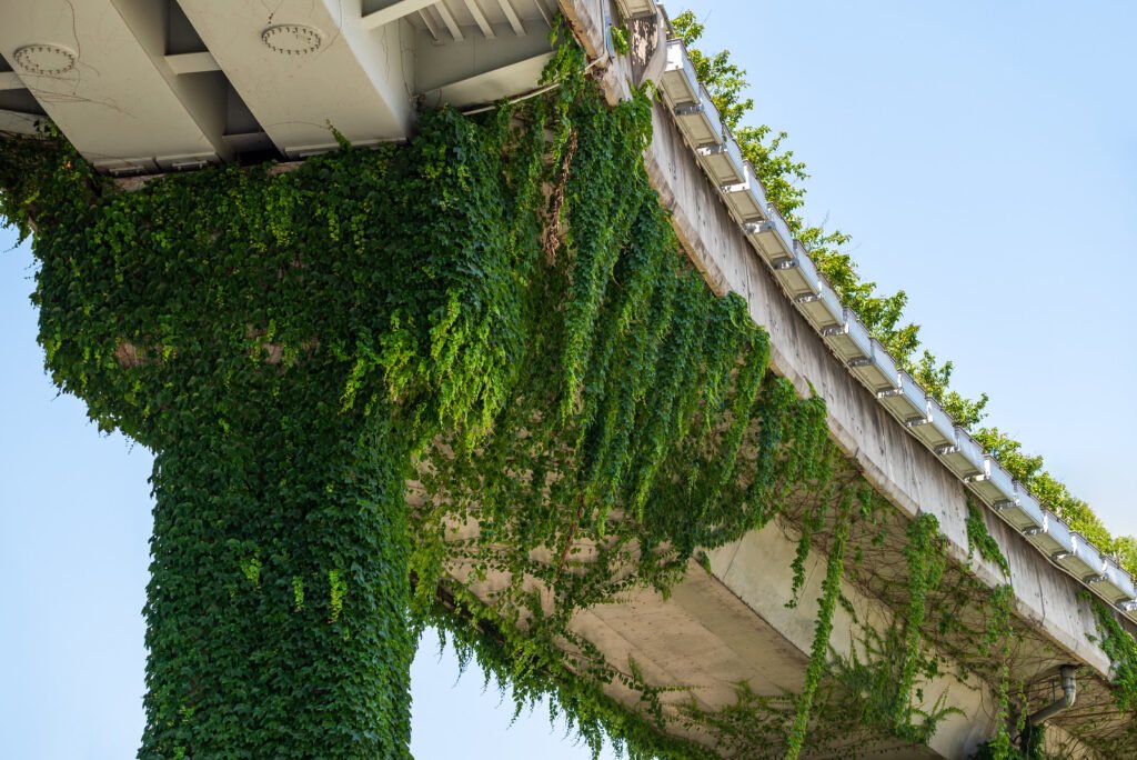 Elevated road pillar covered by ivy against clear blue sky