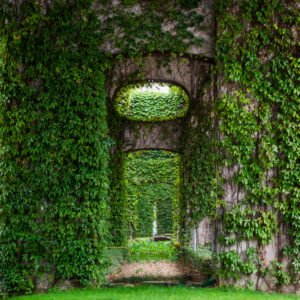 Elevated roads pillars covered by ivy in the city