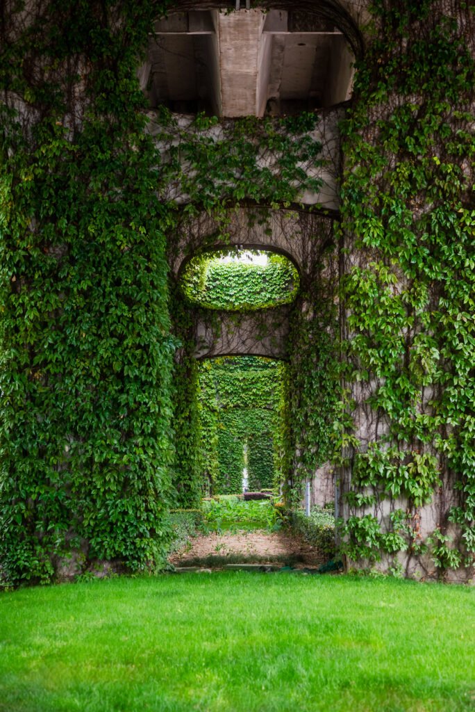 Elevated roads pillars covered by ivy in the city