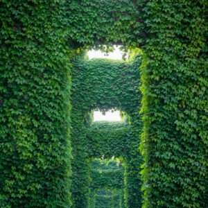Elevated roads pillars covered by ivy in the city