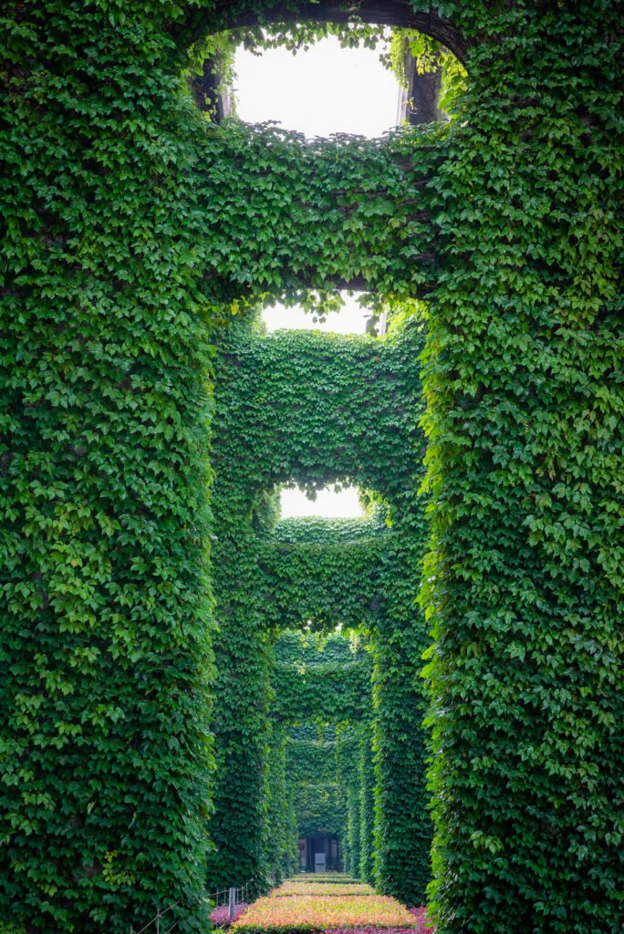 Elevated roads pillars covered by ivy in the city