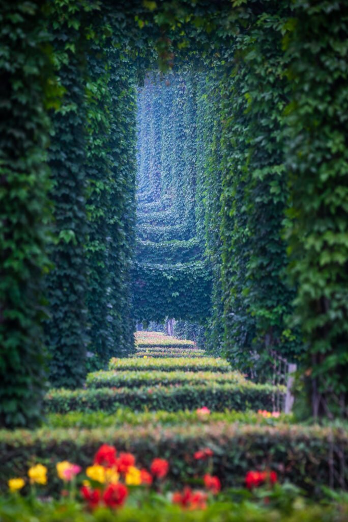 Elevated roads pillars covered by ivy in the city