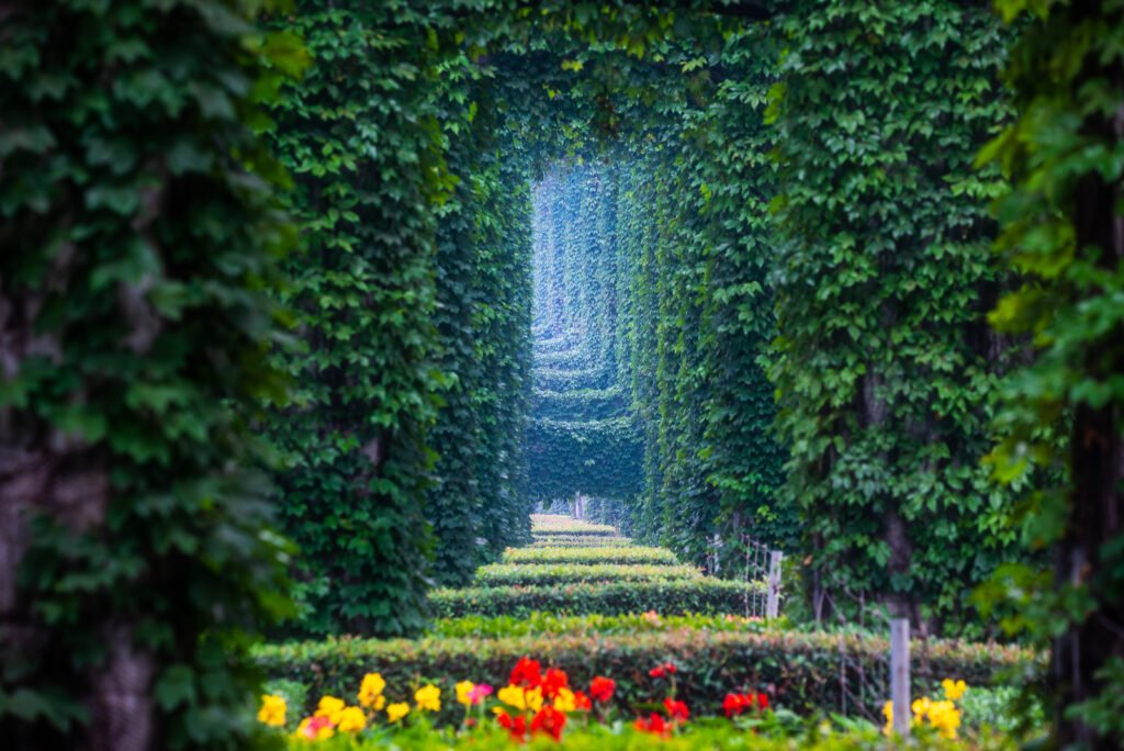 Elevated roads pillars covered by ivy in the city