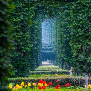 Elevated roads pillars covered by ivy in the city