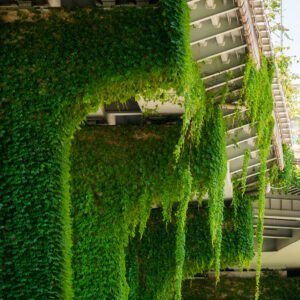 Elevated road pillars covered by ivy against clear blue sky