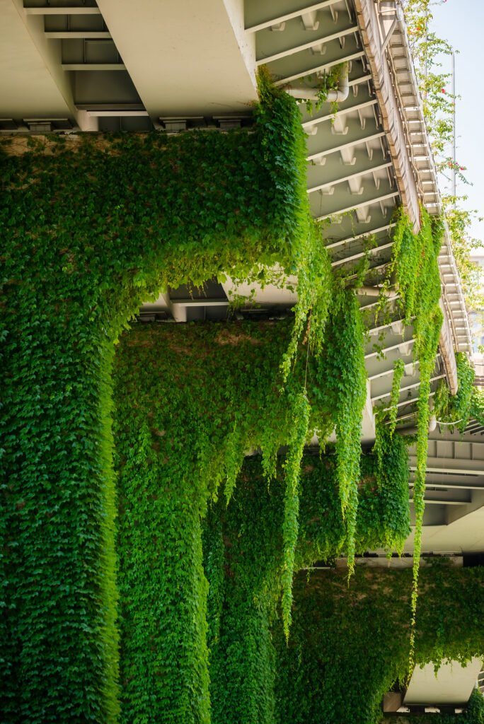 Elevated road pillars covered by ivy against clear blue sky