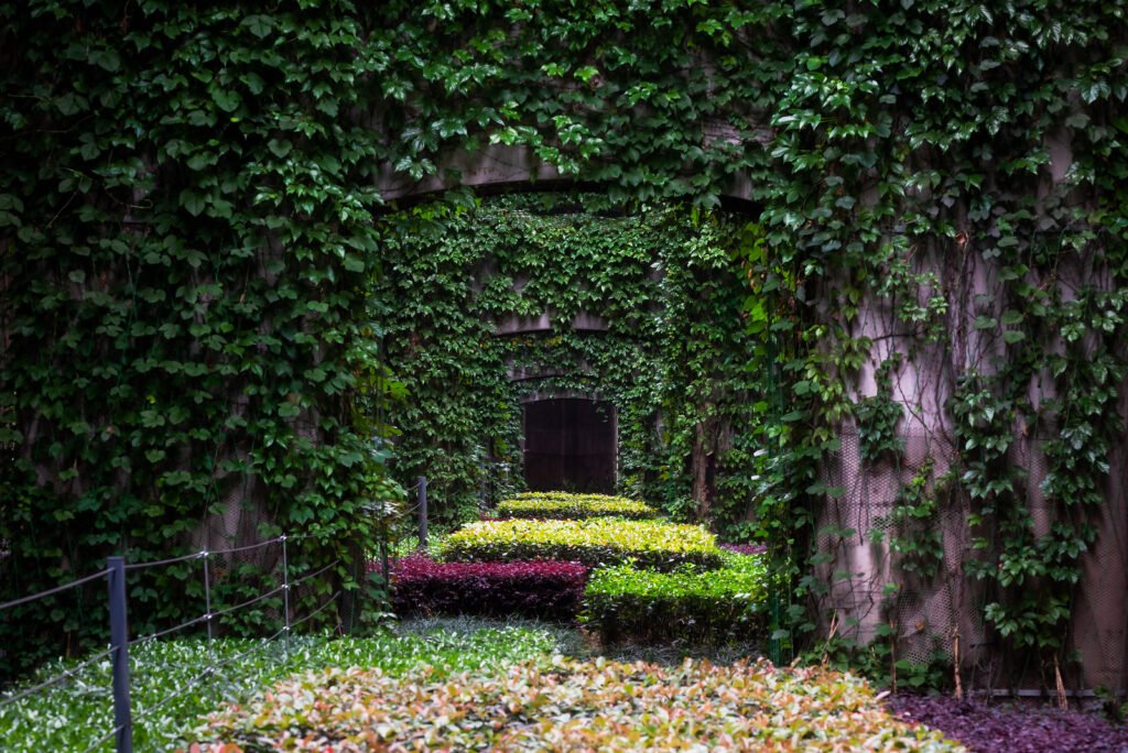 Elevated roads pillars covered by ivy in the city