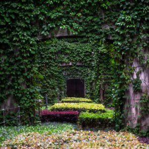 Elevated roads pillars covered by ivy in the city