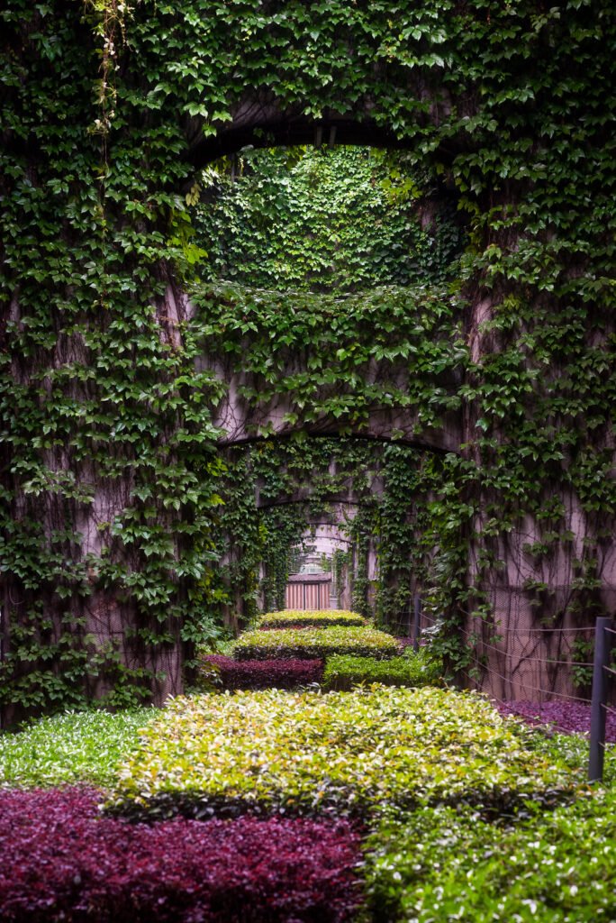 Elevated roads pillars covered by ivy in the city