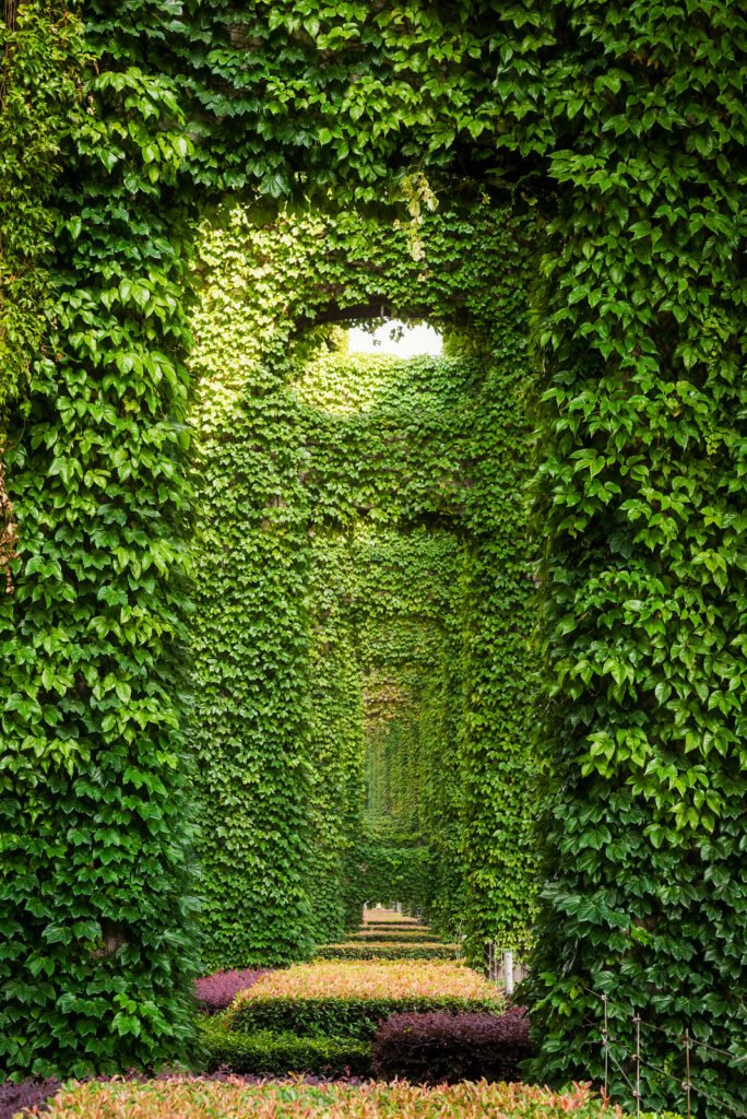 Elevated roads pillars covered by ivy in the city